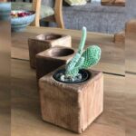 Eskitme Dekoratif 3'lü Sukulent, Kaktüs Saksılığı