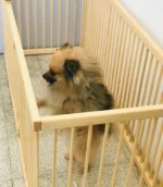 Ahşap Çit, Çocuk Oyun Alanı - Görsel 3